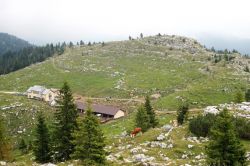 Paesaggio su Monte Zebio nelle Dolomiti, Asiago, Veneto. Siamo sull'altopiano di Asiago: qui buona parte del territorio è considerata Sacra alla Patria e si trova un museo all'aperto ...