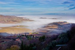 Paesaggio toscano immerso nella nebbia a Montepulciano, Toscana, Italia.

