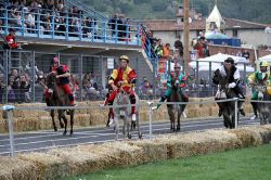 Il Palio dei Micci a Querceta (Toscana): il momento della gara degli asini - © Emanuele Taddei - CC BY-SA 3.0, Wikipedia