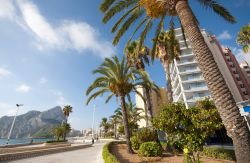 Palme, hotel e appartamenti di lusso a Calpe, città della Costa Blanca, Spagna.

