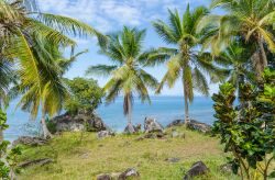 Palme davanti all'oceano sull'isola di Nosy Komba (Nosy Ambariovato), non distante da Nosy Be, in Madagascar - foto © lenisecalleja.photography / Shutterstock.com