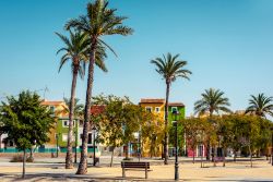 Palme sul lungomare di La Vila Joiosa, Spagna. Sullo sfondo le caratteristiche case multicolore del centro storico.


