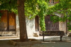 Una panchina in una piazzetta alberata in centro di Avignone in Francia - © Lynn Y / Shutterstock.com