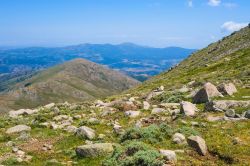 Panorama dal Pizzo la Marmora, la vetta del Gennargentu in Sardegna, raggiungibile con escursione da Desulo