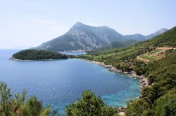 Panorama dall'alto della penisola di Peljesac nei pressi di Trstenik, Croazia.
