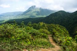 Panorama del Monte Range durante l'escursione a Boiling Lake, Dominica. Questo lago si trova nel Parco Nazionale Morne Trois Pitons, patrimonio mondiale di Dominica. Si tratta di una fumarola ...