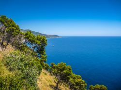 Panorama della costa di Agnone Cilento, Salerno, Campania. Per via dell'ottima qualità dell'acqua, è una località molto nota; da molti anni, ha ottenuto il prestigioso ...