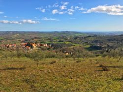 Panorama delle colline di Cartoceto, in lontananza il mare Adriatico