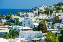 Panorama dell'isola di Panarea, Sicilia - Le graziose case di Panarea, con le grandi terrazze coperte da pergolati, hanno facciate bianche e sono impreziosite da una ricca vegetazione di ...