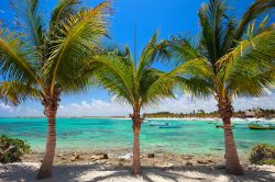 Panorama di Akumal con le palme sulla spiaggia e il mare dei Caraibi sullo sfondo, Messico.

