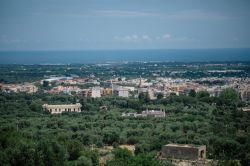 Il panorama di Fasano fotografato dalle Murge vicino allo Zoosafari