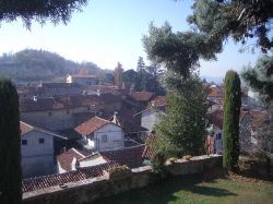 Panorama di Moncrivello fotografato dal Castello. La cittadina è famosa per la sua sagra del Mirtillo
