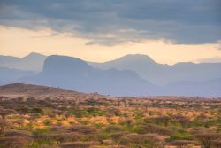Panorama di una pianura di arbusti nel deserto di Kaisut, Marsabit, Kenya: sullo sfondo le montagne.

