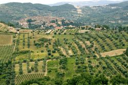 Panorama estivo della maremma a Seggiano, provincia di Grosseto