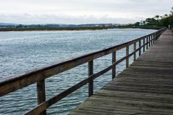 Un bel panorama naturale di Esposende, Portogallo. Siamo in un'area paesaggistica protetta.
