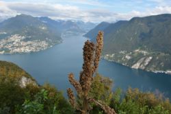 Panorama su Lugano e sul lago da Monte San Salvatore, Svizzera. Dalla sua cima si gode un pittoresco paesaggio sulla città e sul lago. Il tetto della chiesa e il terrazzino Capodoro sono ...