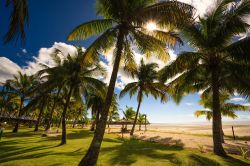 Panorama su una spiaggia tropicale di Viti Levu, Figi, Oceania, con palme da cocco.
