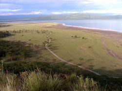 Panorama sul lago Manyara dalla cima di una collina, Tanzania. Questo lago d'acqua alcalina si trova nella parte settentrionale della Tanzania. E' lungo circa 50 km e largo 16 ed ha ...