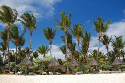 Paradise beach a Flic En Flac, isola di Mauritius - Cielo terso, palme e sabbia soffice e bianca per questa incantevole spiggia di Flic en Flac © Pawel Kazmierczak / Shutterstock.com
