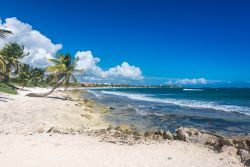 Paradiso caraibico nei pressi di Tulum, Akumal: una delle spiagge più belle di Quintana Roo, uno dei 31 stati del Messico situato nella parte orientale della penisola dello Yucatan.

 ...