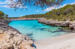 Il Parco naturale di Mondrago, isola di Maiorca, Spagna. Quest'area naturale accoglie una grande diversità di specie ornitologiche - © Michele Alfieri / Shutterstock.com