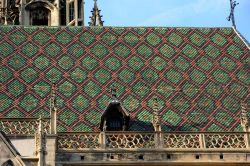 Particolare del tetto della collegiata di San Teobaldo a Thann, Francia. Dopo la cattedrale di Strasburgo, questa chiesa è uno dei più suggestivi esempi di architettura gotica. ...