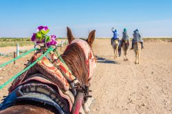Passeggiata a cavallo nel deserto tunisino di Douz.
