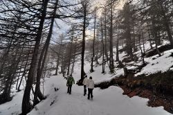 Passeggiata in un bosco vicino a  La Thuile, in  Inverno