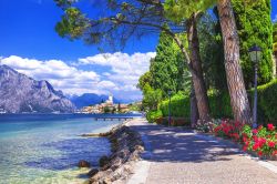 Passeggiata lungolago a Malcesine - © leoks / Shutterstock.com