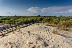 Passerella di legno sulle dune nella spiaggia di Vila Real de Santo Antonio, Algarve, Portogallo.
