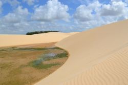 Pequenos Lencois a Vassouras (Barreirinhas) sono una specie di "antipasto" del grande Parque Nacional Lençois Maranhenses del Brasile, nello stato di Maranhao 