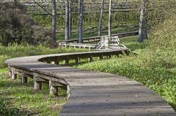 Percorso su passerelle intorno al Lago di Terlago, in Trentino