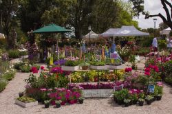 Giardini del Frontone: i colori del Perugia Flower Show la manifestazione floreale in Umbria. - © Buffy1982 / Shutterstock.com