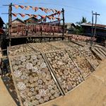 Pesce essiccato al sole nella città di Myeik, sud del Myanmar - © amnat30 / Shutterstock.com