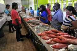 Pesce fresco in vendita al mercato di Nadi, Viti Levu, Figi. La pesca è la terza risorsa economica più importante per le isole Figi - © ChameleonsEye / Shutterstock.com