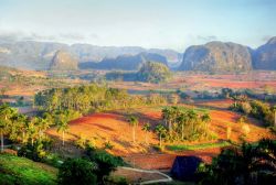 Le piantagioni di tabacco nella splendida Valle de Viñales (Cuba), Patrimonio dell'Umanità dichiarato dall'UNESCO nel 1999.