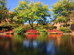Piante e fiori lungo il canale centrale di Indianapolis, Indiana, Stati Uniti d'America.
