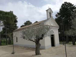 Pietrelcina, la chiesetta di San Francesco a Piana Romana. Questo luogo sacro è stato costruito nel 1958 nel luogo dove il santo amava raccogliersi in preghiera in una piccola capanna ...