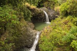  Pipiwai Trail il famoso sentiero del Haleakala National Park, isola di Maui, Hawaii