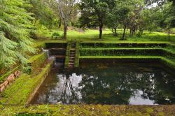 Una piscina coperta di muschio nell'antica Polonnaruwa, Sri Lanka - © VladFace / Shutterstock.com