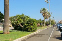 Pista ciclabile sul lungomare di Viareggio, provincia di Lucca, Toscana - © Nick_Nick / Shutterstock.com