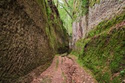 Pitigliano, Toscana: passeggiata nella Via Cava, strada etrusca scavata nel tufo che si univa alle necropoli di Sovana e Sorano