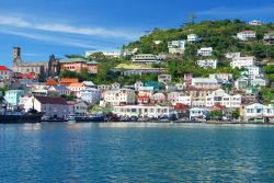 Una pittoresca veduta della capitale di Grenada, St.George's, con le sue case immerse nella  lussureggiante vegetazione dei Caraibi.



