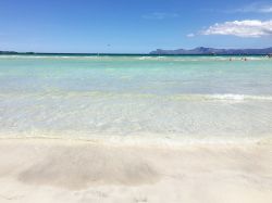 Playa de Muro a Maiorca, isole Baleari, Spagna. Situata nella parte settentrionale della grande baia di Alcudia, questa spiaggia è lunga diversi chilometri e larga una ventina di metri. ...