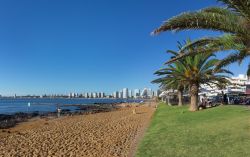 Punta del Este: un tratto di spiaggia nei pressi di Rambla Gral Jose Artigas con la skyline della città sullo sfondo - © RUBEN M RAMOS / Shutterstock.com