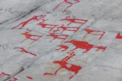 Sono molti gli animali raffigurati nelle scene incise sull'arenaria. Fra questi spiccano per numero le renne, spesso in branchi rappresentati a volte in atto di caccia e altre in corso di ...