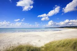 Rosignano Solvay: la famosa spiaggia bianca della cittadina sul Tirreno, resa così dalle reazioni chimiche derivanti dagli scarti di lavorazione del vicino stabilimento della Solvay.