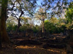 Rovine di Gede, Watamu: le rovine dell'antica ...