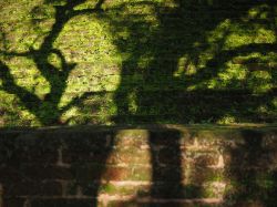 Rovine di Polonnaruwa, Sri Lanka. Il particolare di uno stupa buddhista.



