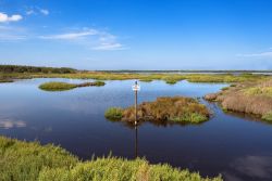 S'ena Arrubia lo stagno vicino ad Arborea in Sardegna